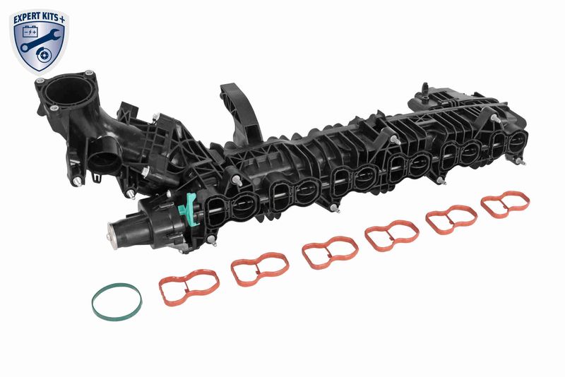11617811909V2 V20-4954 Zuigbuismodule