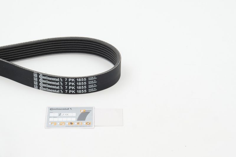11287628652CT1 7PK1855 Poly V-riem