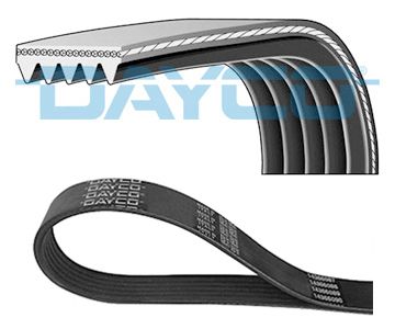 11288477781D 5PK2030S Poly V-riem
