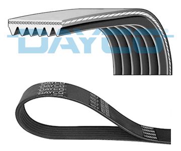 11288477779D 6PK2080S Poly V-riem