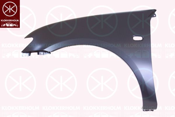 63122751263KH2 40010149 Koplamp
