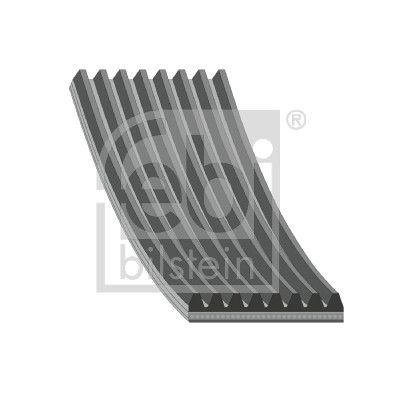11287628661FB 45238 Poly V-riem