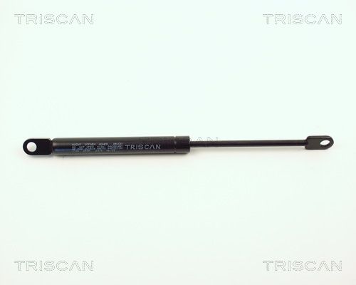 51231906286TS 8710 1101 Gasveer, motorkap