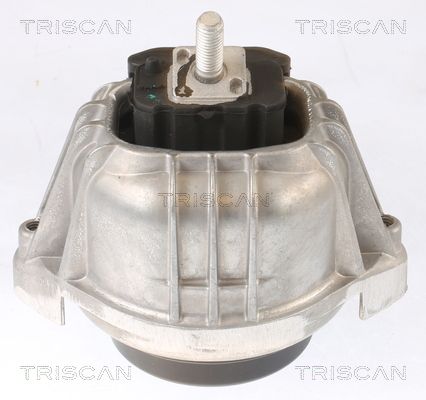 22116768853TS 8505 11104 Aslichaam-/motorsteunlager