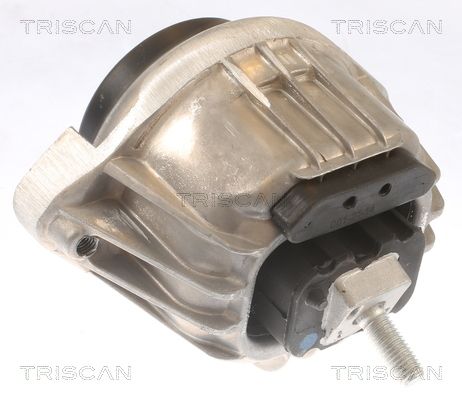 22116768799TS 8505 11105 Aslichaam-/motorsteunlager