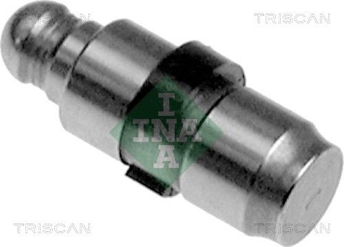 11337512116TS 80-11004 Klepstoter