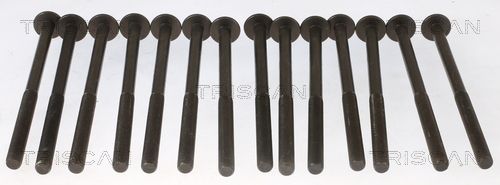 11128513130TS 98-1014 Cilinderkopbout set