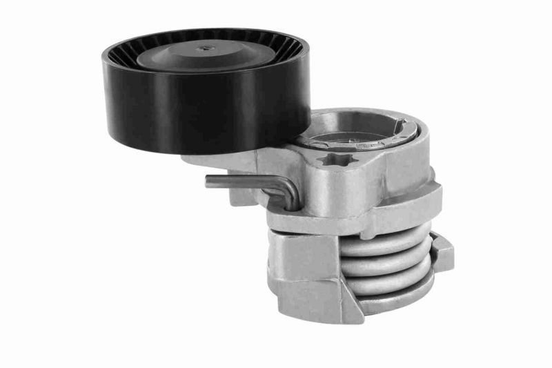 11287549588V V20-0338 Riemspanner, Poly V-riem