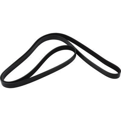11287631814JP 1418100500 Poly V-riem