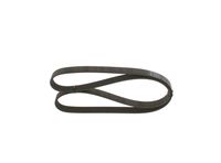 11288613707BO 11288613707 11 28 8 613 707 8613707 1 987 947 944 BMW F31 LCI -  Poly V-riem