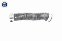 11618513288V 11618513288 11 61 8 513 288 8513288 V20-3251 BMW X1 (E84) -  Laadluchtslang