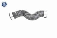 11618513288V 11618513288 11 61 8 513 288 8513288 V20-3251 BMW X1 (E84) -  Laadluchtslang