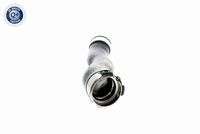 11617802753V 11617802753 11 61 7 802 753 7802753 V20-1618 BMW X1 (E84) -  Laadluchtslang