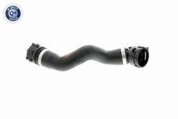 17127525022V 17127525022 17 12 7 525 022 7525022 V20-1291 BMW E81 -  Radiateurslang