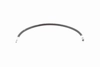 51231869147V 51231869147 51 23 1 869 147 1869147 V20-0979 BMW F06 GC -  Gasveer, motorkap