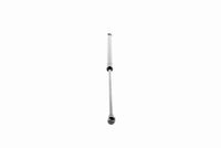 51238402551V 51238402551 51 23 8 402 551 8402551 V20-0989 BMW X5 (E53) -  Gasveer, motorkap