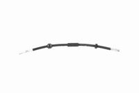 11317533489V1 11317533489 11 31 7 533 489 7533489 V20-2459 BMW X5 (E70) -  Geleiderail, distributieketting