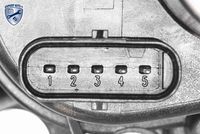 11617811909V2 11617811909 11 61 7 811 909 7811909 V20-4954 BMW F06 GC -  Zuigbuismodule
