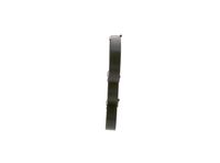 11287520072BO 11287520072 11 28 7 520 072 7520072 1 987 947 950 BMW E36 -  Poly V-riem