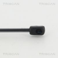51237309119TS 51237309119 51 23 7 309 119 7309119 8710 11133 BMW F13 -  Gasveer, motorkap
