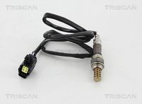 13627806782TS 13627806782 13 62 7 806 782 7806782 8855 11127  Krukassensor