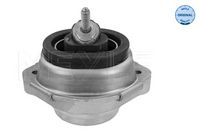 22116770794M 22116770794 22 11 6 770 794 6770794 300 221 1120 BMW X5 (E53) -  Aslichaam-/motorsteunlager