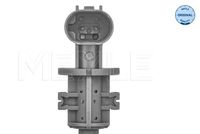 17137553919M 17137553919 17 13 7 553 919 7553919 314 899 0042 BMW X3LCI (E83LCI) -  Sensor, koelvloeistofpleil