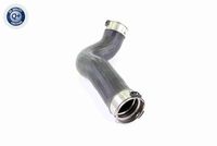 11617810615V 11617810615 11 61 7 810 615 7810615 V20-2965 BMW F10 -  Laadluchtslang