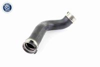 11617810615V 11617810615 11 61 7 810 615 7810615 V20-2965 BMW F10 -  Laadluchtslang