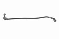 51247167442V 51247167442 51 24 7 167 442 7167442 V20-2876 MINI R55LCI -  Gasveer, kofferruimte