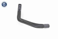 22116855456V 22116855456 22 11 6 855 456 6855456 V20-1554 BMW F20 -  Aslichaam-/motorsteunlager