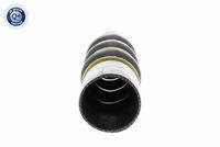 17127799184V 17127799184 17 12 7 799 184 7799184 V20-2362 BMW F30 LCI -  Afsluitstop, koelvloeistofflens