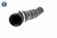 11617808416V 11617808416 11 61 7 808 416 7808416 V20-1626 BMW E60 -  Laadluchtslang
