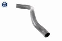 31306792211V 31306792211 31 30 6 792 211 6792211 V20-3409 BMW F21LCI -  Stabilisatorstang