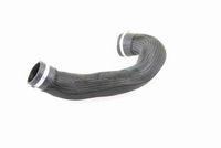 31351095664V 31351095664 31 35 1 095 664 1095664 V20-7081-1  Stabilisatorstang