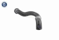 11427510717V2 11427510717 11 42 7 510 717 7510717 V20-0620 BMW E32 -  Oliefilter