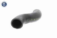 22118835572V 22118835572 22 11 8 835 572 8835572 V20-2523 BMW F45 SAT -  Aslichaam-/motorsteunlager
