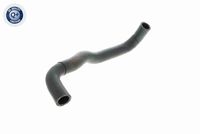 11287524267V 11287524267 11 28 7 524 267 7524267 V20-2444 BMW E87LCI -  Geleide rol/omdraairol, Poly V-riem
