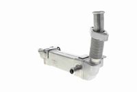 11717790065VM 11717790065 11 71 7 790 065 7790065 V20-63-0047 BMW E60LCI  -  Koeler, uitlaatterugvoering