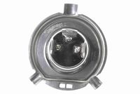 63121354619VM1 63121354619 63 12 1 354 619 1354619 V99-84-0007 BMW 248 -  Gloeilamp, verstraler