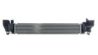 17517617597MO 17517617597 17 51 7 617 597 7617597 CI 614 000P MINI F57 -  Intercooler, inlaatluchtkoeler